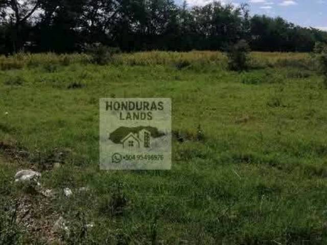 #3 - Área para Venta en Comayagua - Comayagua