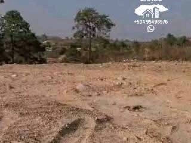 #9 - Área para Venta en Comayagua - Comayagua