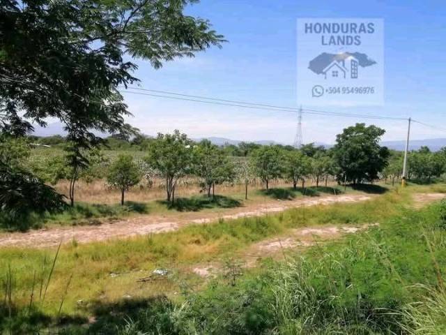 #1 - Área para Venta en Comayagua - Comayagua