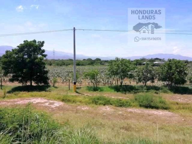 #1 - Área para Venta en Comayagua - Comayagua