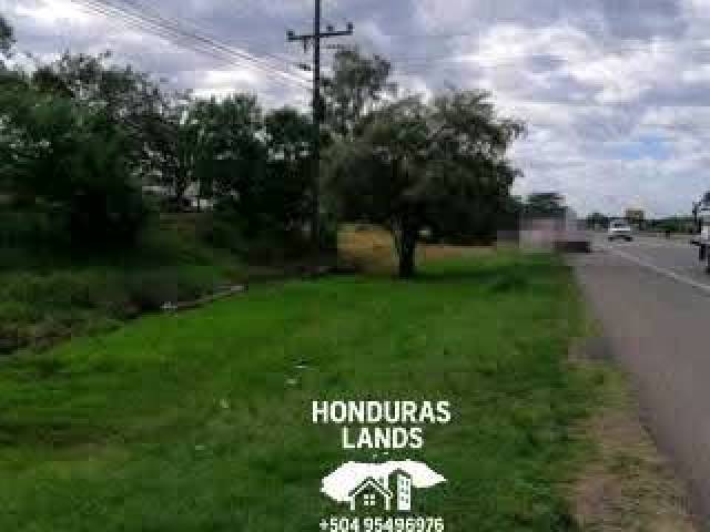 #8 - Área para Venta en Comayagua - Comayagua