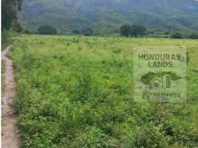 #4 - Área para Venta en Comayagua - Comayagua