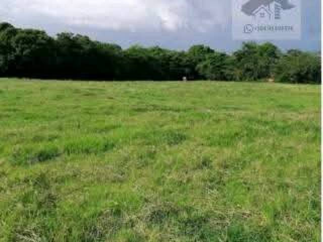 #4 - Área para Venta en Comayagua - Comayagua