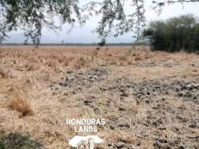 #26 - Área para Venta en San Pedro Sula - Cortés