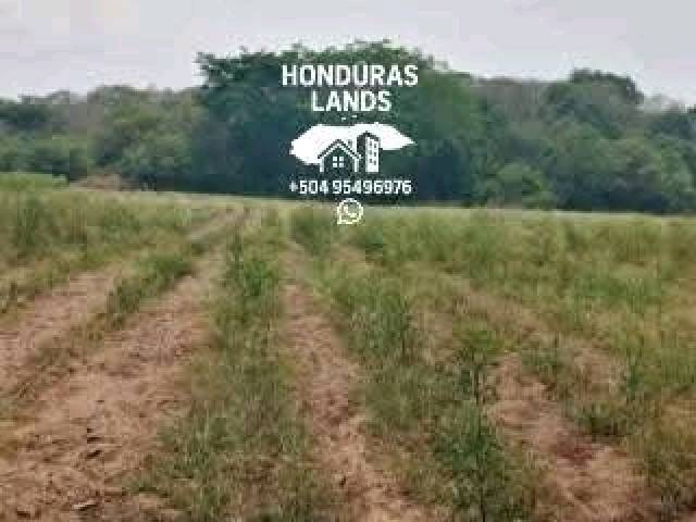 #26 - Área para Venta en San Pedro Sula - Cortés