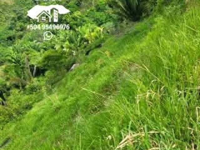 #32 - Área para Venta en San Pedro Sula - Cortés