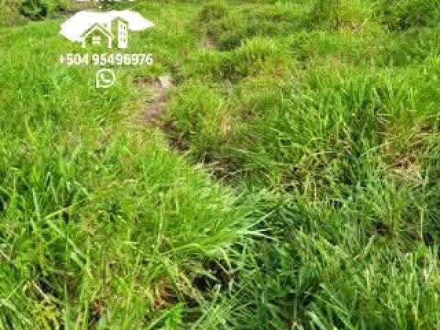 #32 - Área para Venta en San Pedro Sula - Cortés