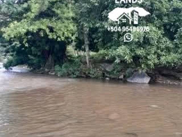 #33 - Área para Venta en San Pedro Sula - Cortés