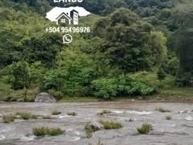 #33 - Área para Venta en San Pedro Sula - Cortés