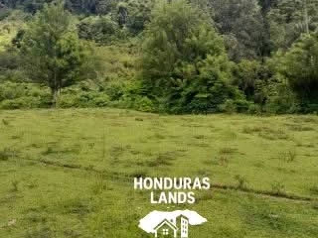 #33 - Área para Venta en San Pedro Sula - Cortés