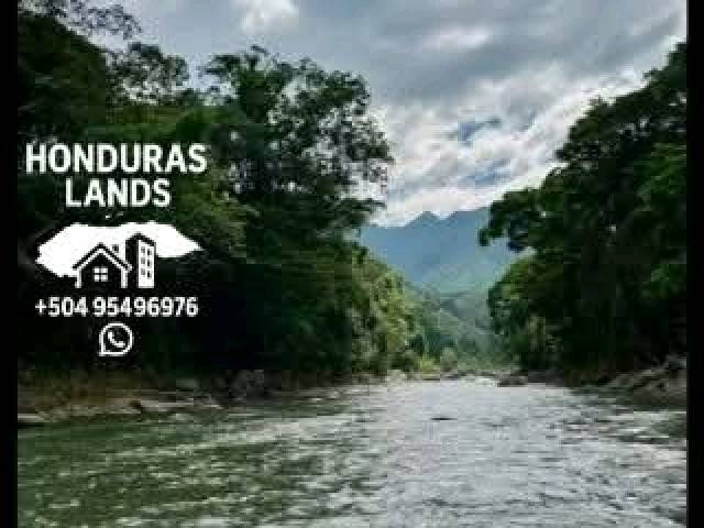 #34 - Área para Venta en San Pedro Sula - Cortés