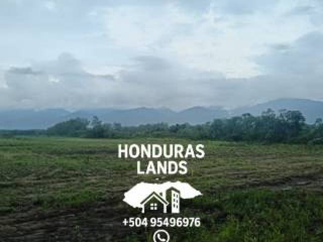 #38 - Área para Venta en San Pedro Sula - Cortés