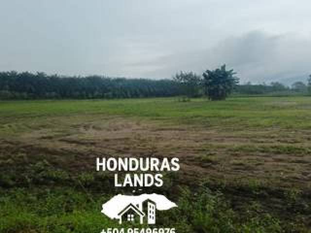 #38 - Área para Venta en San Pedro Sula - Cortés