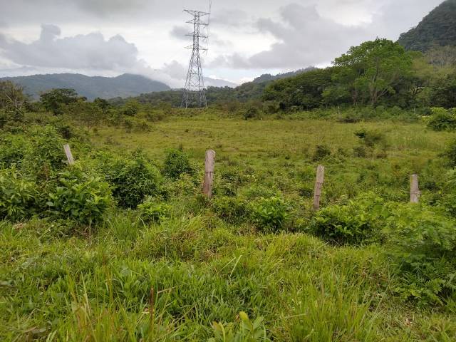 #39 - Área para Venta en San Pedro Sula - Cortés