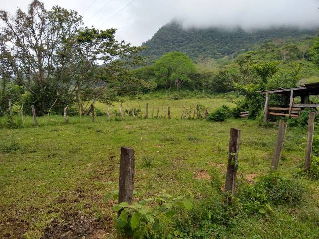 #39 - Área para Venta en San Pedro Sula - Cortés