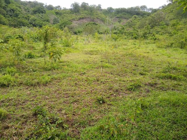 #39 - Área para Venta en San Pedro Sula - Cortés