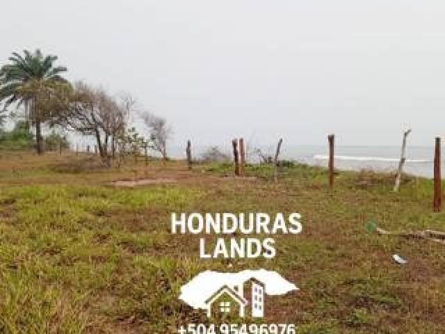 #40 - Área para Venta en San Pedro Sula - Cortés