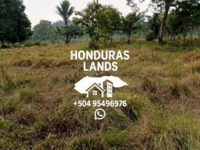 #40 - Área para Venta en San Pedro Sula - Cortés