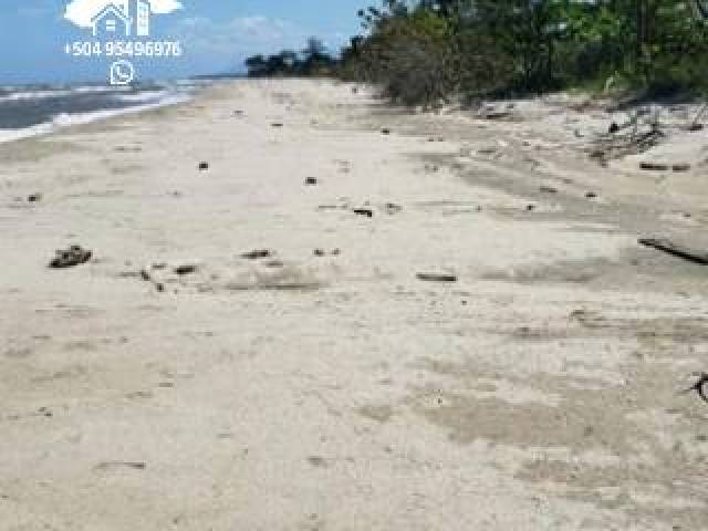 #41 - Área para Venta en San Pedro Sula - Cortés