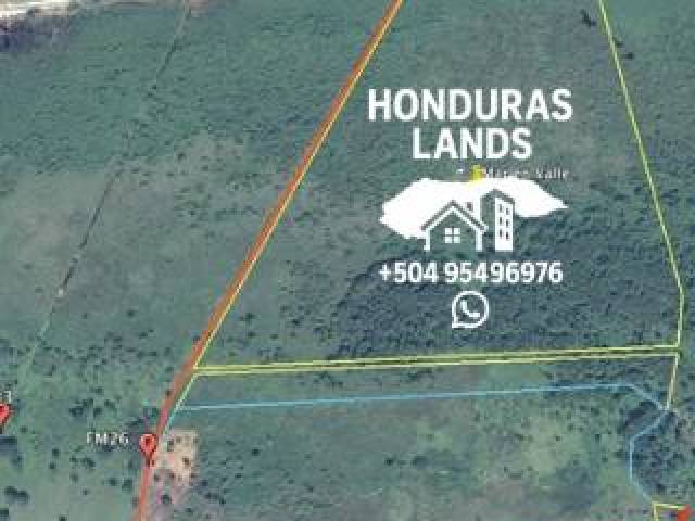 #41 - Área para Venta en San Pedro Sula - Cortés