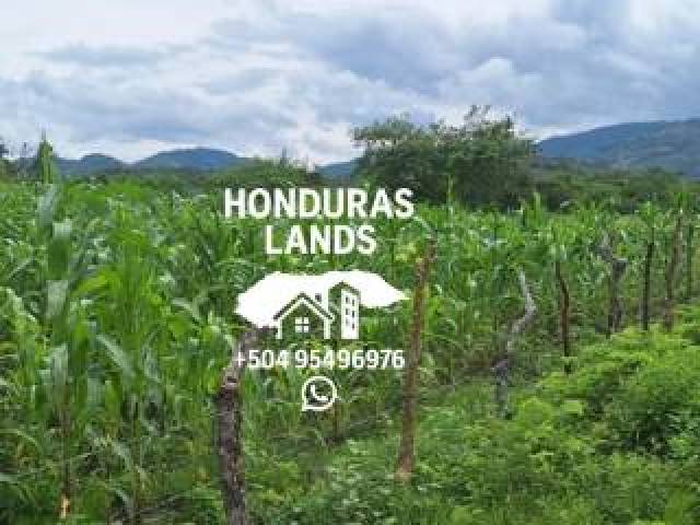 #43 - Área para Venta en San Pedro Sula - Cortés