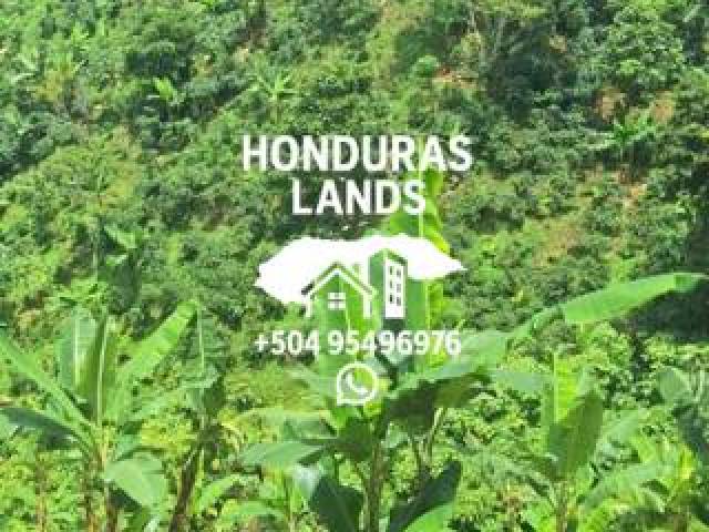 #46 - Quinta para Venta en San Pedro Sula - Cortés