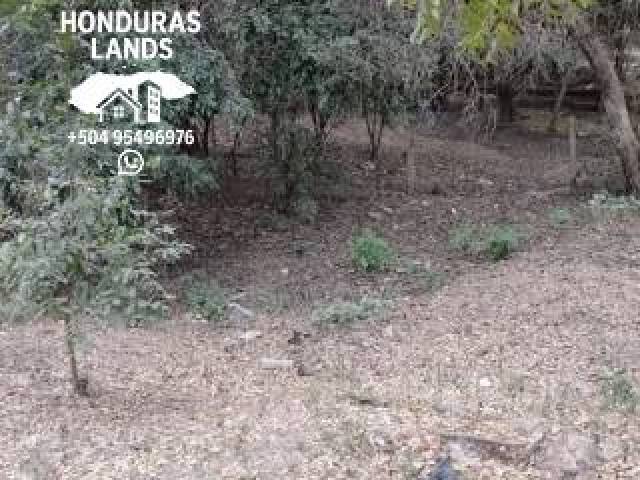 #47 - Área para Venta en San Pedro Sula - Cortés