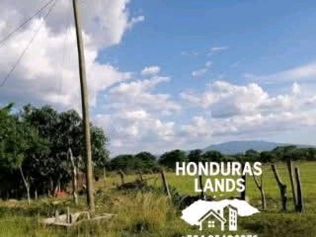 #49 - Área para Venta en San Pedro Sula - Cortés