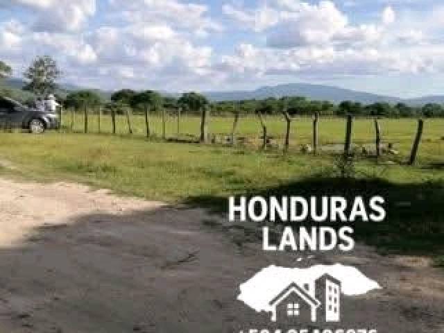 #49 - Área para Venta en San Pedro Sula - Cortés
