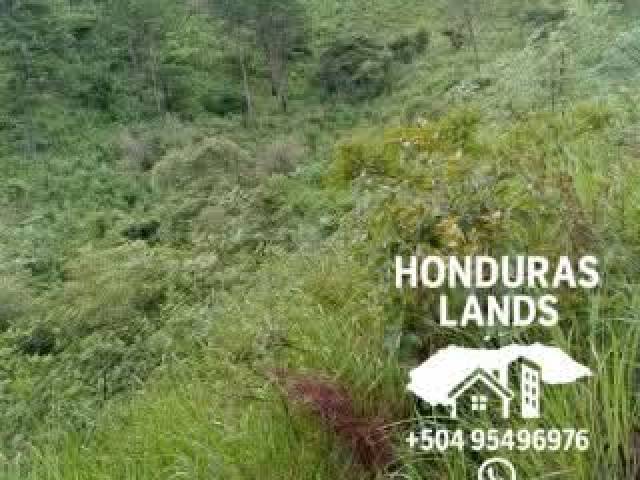 #50 - Área para Venta en San Pedro Sula - Cortés