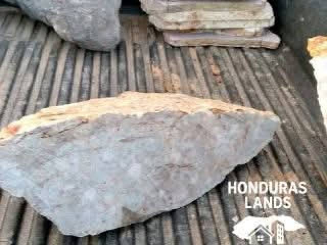 #50 - Área para Venta en San Pedro Sula - Cortés