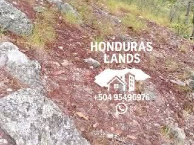 #50 - Área para Venta en San Pedro Sula - Cortés