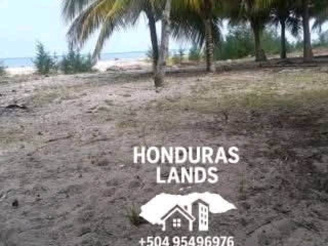 #51 - Área para Venta en San Pedro Sula - Cortés