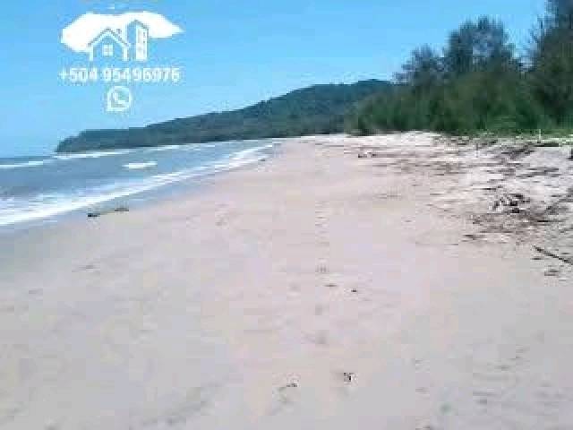 #51 - Área para Venta en San Pedro Sula - Cortés