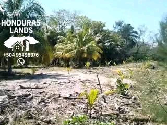 #51 - Área para Venta en San Pedro Sula - Cortés