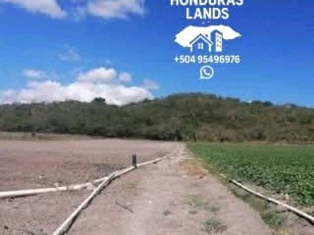 #52 - Área para Venta en San Pedro Sula - Cortés