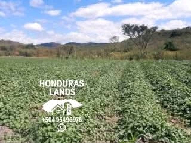 #52 - Área para Venta en San Pedro Sula - Cortés