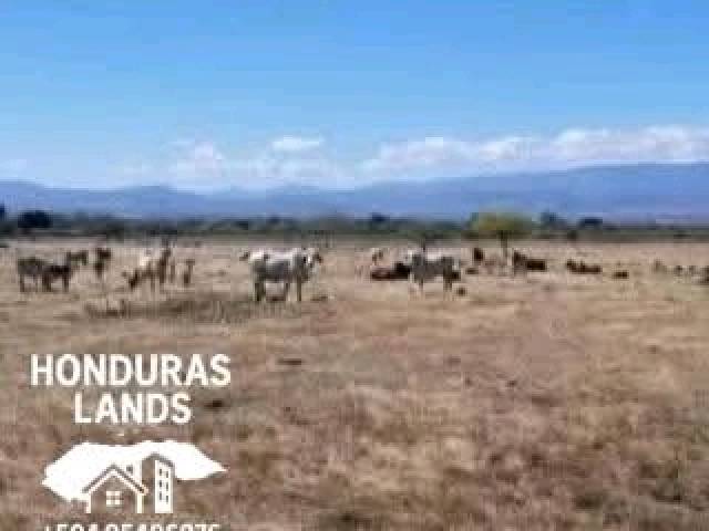 #54 - Área para Venta en San Pedro Sula - Cortés