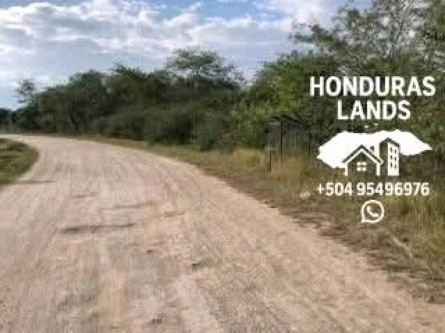 #54 - Área para Venta en San Pedro Sula - Cortés