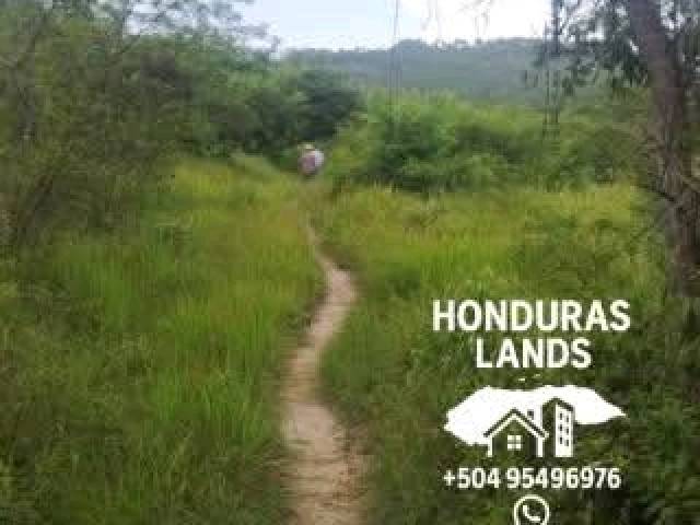 #55 - Área para Venta en San Pedro Sula - Cortés