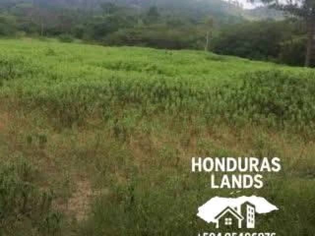 #55 - Área para Venta en San Pedro Sula - Cortés