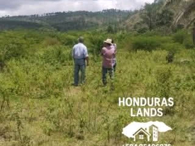 #55 - Área para Venta en San Pedro Sula - Cortés