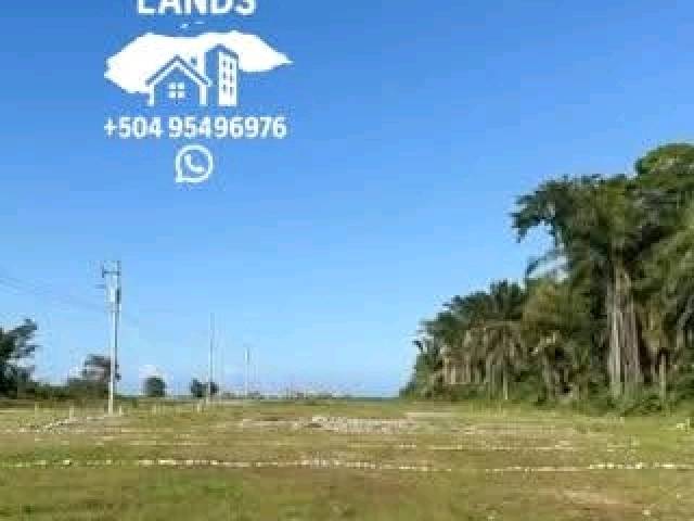 #57 - Área para Venta en San Pedro Sula - Cortés