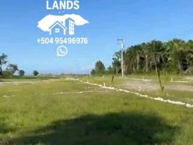 #57 - Área para Venta en San Pedro Sula - Cortés