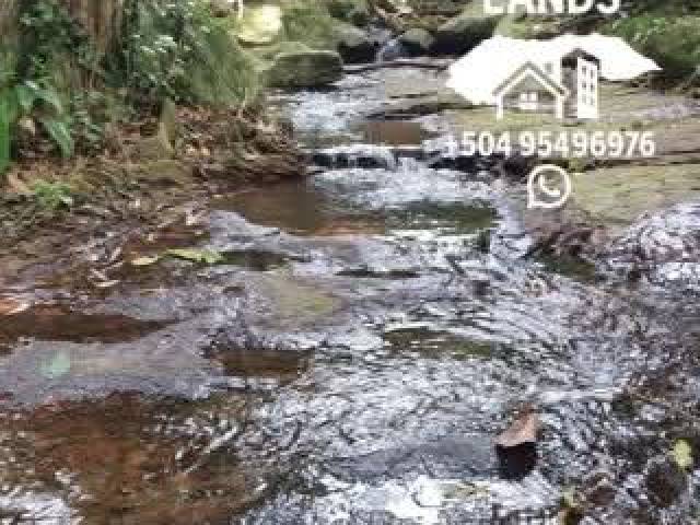 #58 - Área para Venta en San Pedro Sula - Cortés