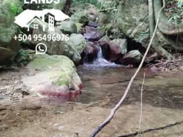 #58 - Área para Venta en San Pedro Sula - Cortés