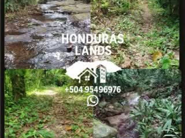 #58 - Área para Venta en San Pedro Sula - Cortés