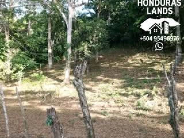 #59 - Área para Venta en San Pedro Sula - Cortés