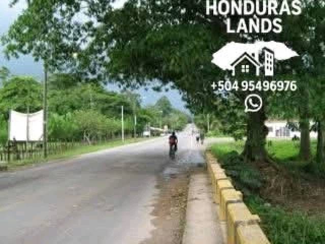 #59 - Área para Venta en San Pedro Sula - Cortés
