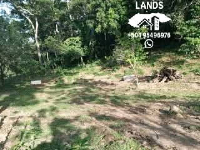 #59 - Área para Venta en San Pedro Sula - Cortés